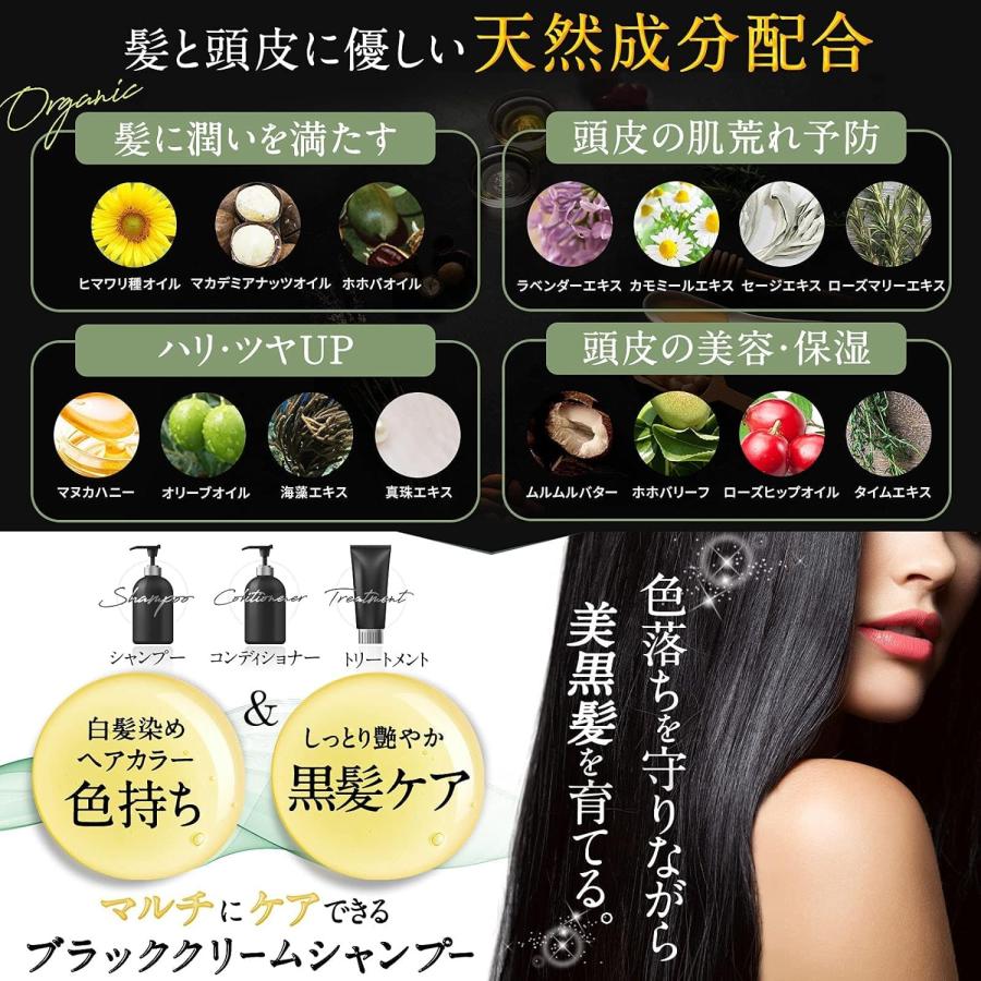 CREME DE ANN（クレムドアン） ブラッククリームシャンプー 1袋 300g