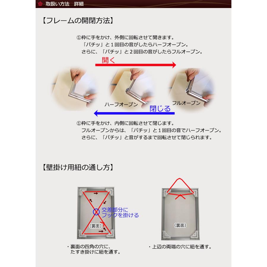 ポスターフレーム A1 (594x841mm) 前面開きスライドオープンタイプ