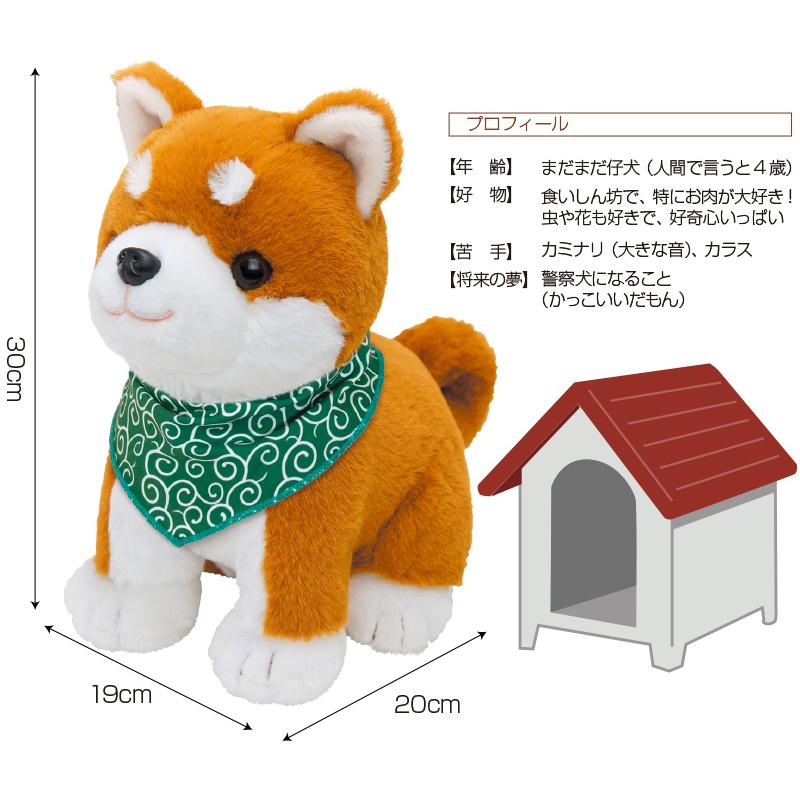 ポイント10倍＋1000円OFFクーポン】 こんにちワン！ しばいぬコウタ