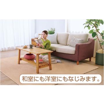 ゼンケン 【クーポンで10500円OFF】 ホットカーペット 電磁波カット 2