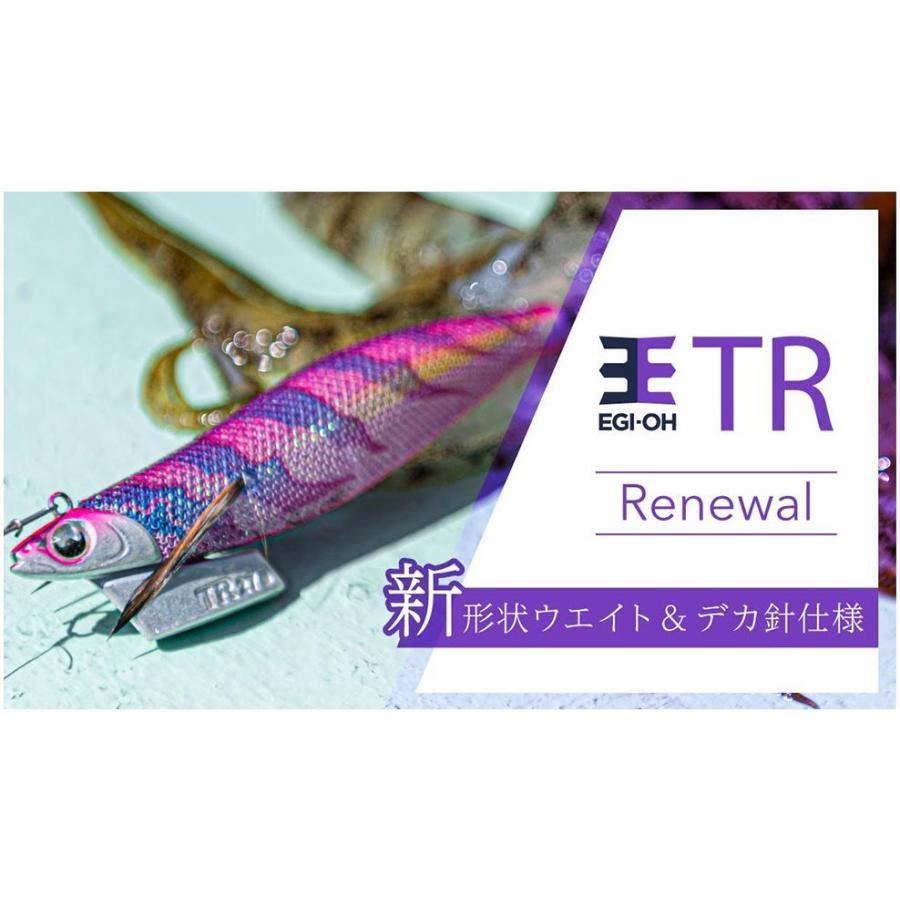 YAMASHITA（ヤマシタ） エギ王 TR 3.5号 ティップラン 新色入荷 : 矢田