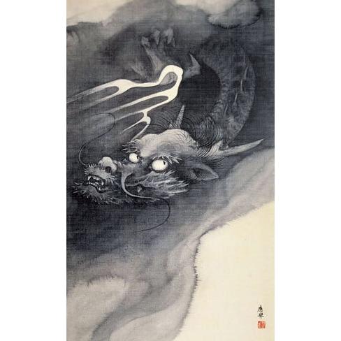 掛軸 (掛け軸) 龍図 円山応挙 尺五あんどん 約横54.5cm×縦150cm g6261