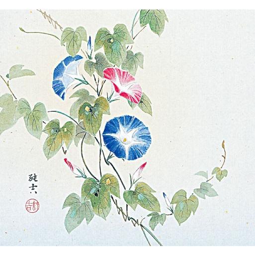 掛軸 (掛け軸) 夏用 朝顔 佐藤純吉 尺八横 約横65cm×縦138cm p9617 夏