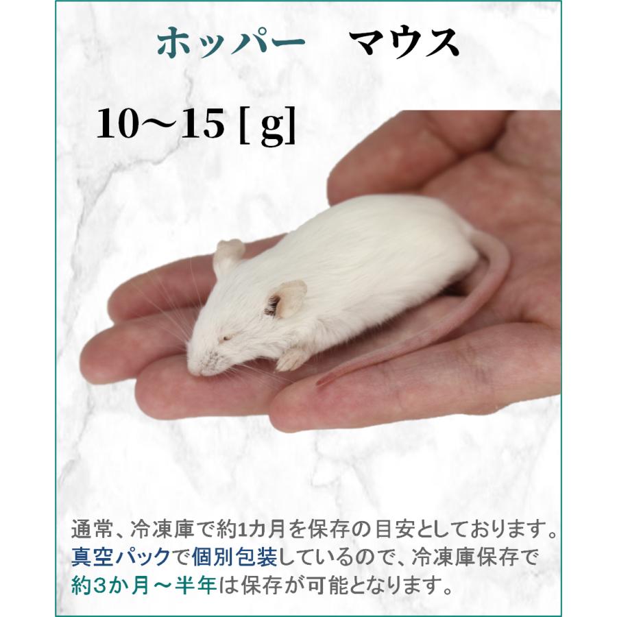 ZAZOO 国産 冷凍マウス ファジーマウス L 8〜10g 約5.5cm 真空 個別