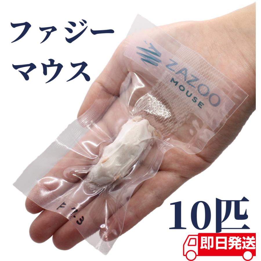 ZAZOO 国産 冷凍マウス ファジーマウス 6〜8 g 約5.0 cm 真空 個別包装