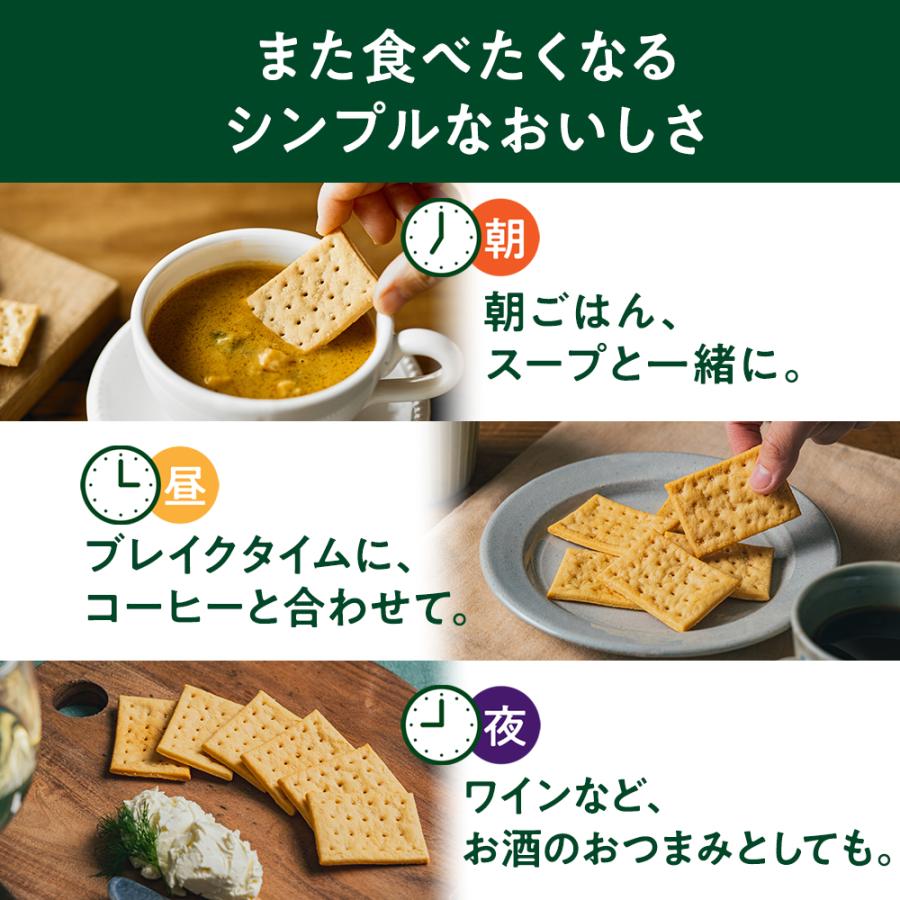 ZENB（ゼンブ） チップス 40袋(240枚) 低糖質 お菓子 糖質オフ お菓子