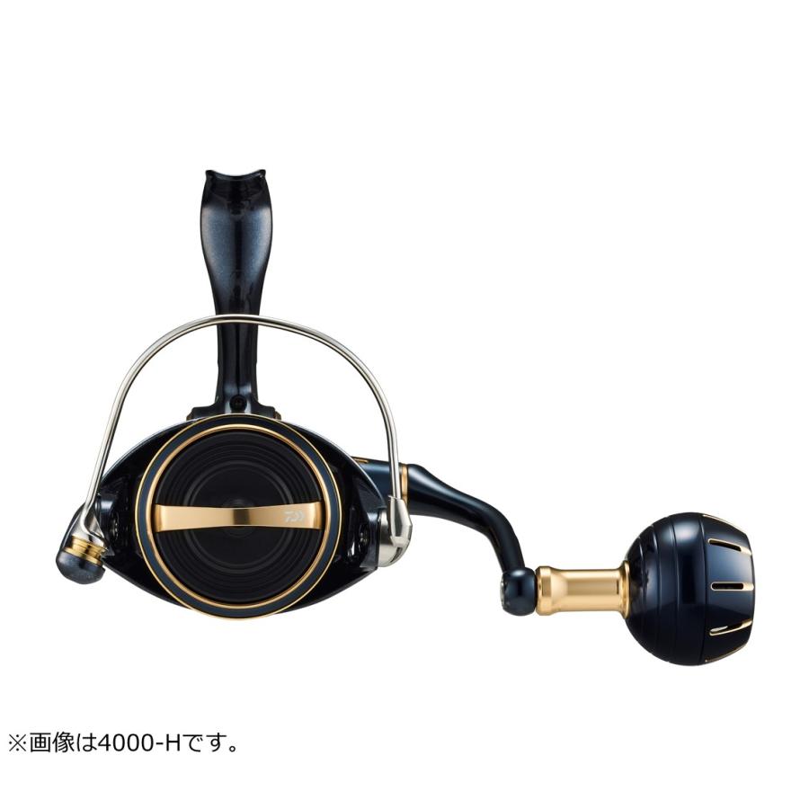 DAIWA（ダイワ） 23ソルティガ 4000-XH【2023年新製品】 : つり具の