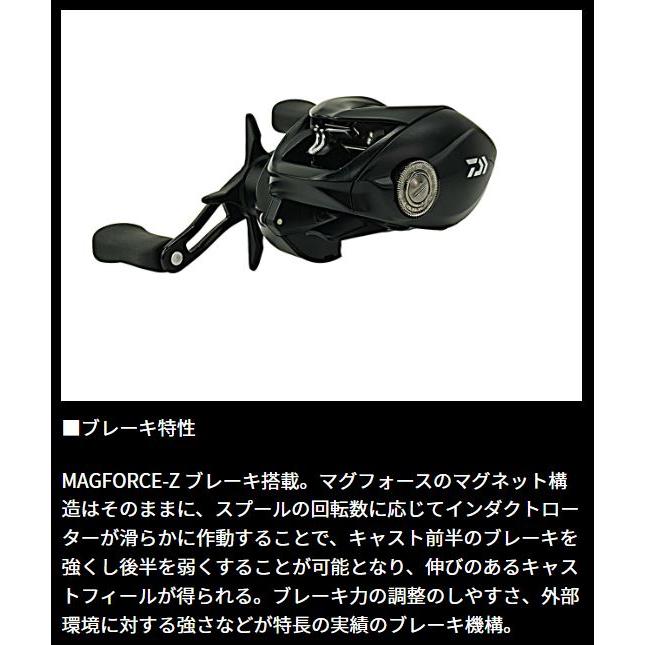 DAIWA（ダイワ） 24タトゥーラ TW 100XH : つり具の銭屋 - 通販