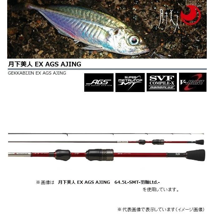 DAIWA（ダイワ） 月下美人 EX AGS A64LS−SMT・E