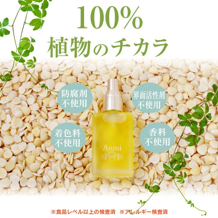 アンミオイル(30ml) 2本セット 杏仁オイル : ジーランドビフー - 通販