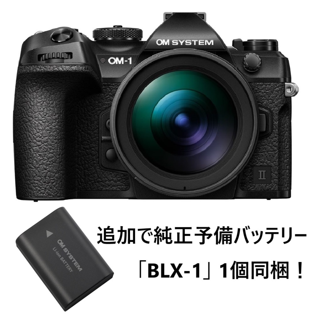 オリンパス ミラーレス一眼 OM-D E-M10 Mark III ボディ（シルバー