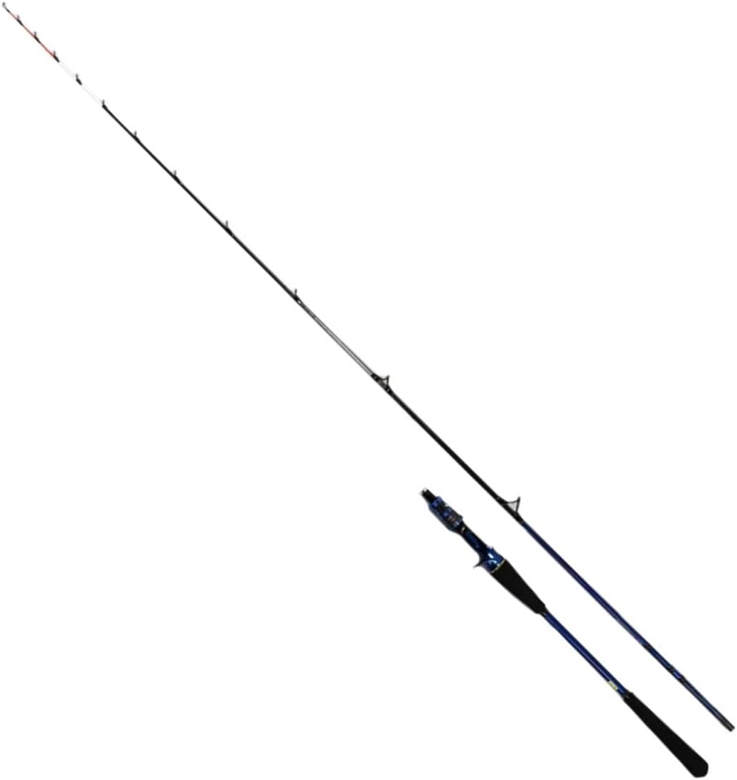 DAIWA（釣り） 極鋭タチウオ テンヤSP 73-190AGS 極鋭 釣り 船竿 - 最