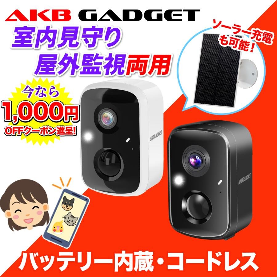 インベス スマートフォン専用 モーション録画カメラ LA02W 防犯カメラ