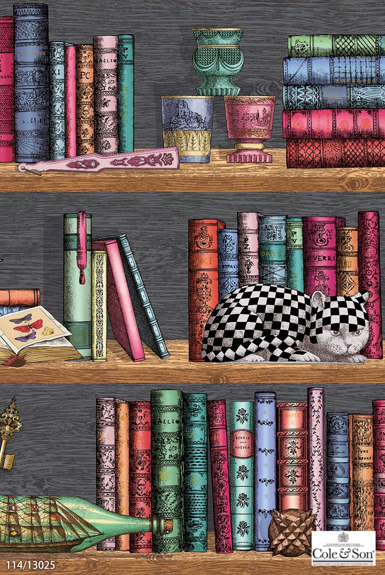 TECIDO（テシード） 輸入壁紙 クロス イギリス製 本棚 フォルナ