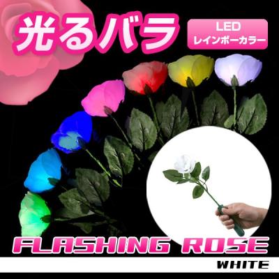 ペンライトキンプリのおすすめ人気商品一覧 通販 - Yahoo!ショッピング