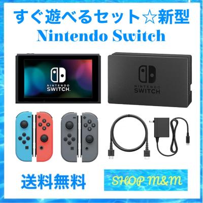 Nintendo Switch本体（色：シルバー系）｜Switch｜テレビゲーム