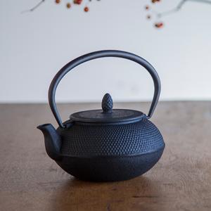 南部鉄器 急須 アラレ 0.6L 白/ゴールド カラーポット 日本製 ロジ