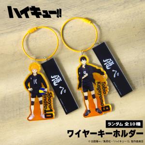 バラ売り10個セット】チケットライクコレクション ハイキュー!! ※20個