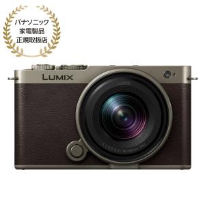Panasonic（パナソニック） ミラーレス一眼カメラ LUMIX DC-G100DW-K