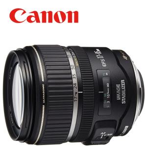 EF-S キヤノン Canon 55-250mm F4-5.6 IS STM 望遠レンズ 一眼レフ
