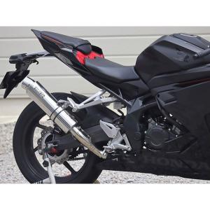 AKRAPOVIC（アクラポビッチ） 直送品 レーシングライン カーボン