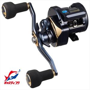 DAIWA（ダイワ） 25 ソルティガ IC 300L-C 左ハンドル (2026年追加
