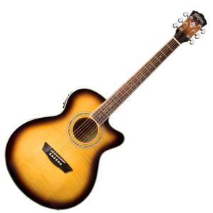 Washburn （お取り寄せ商品）Washburn アコースティックギター