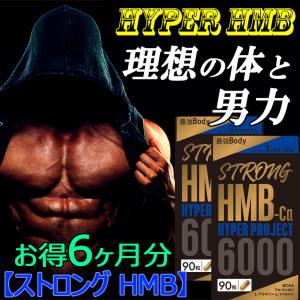 公式ショップ 正規品 15袋セット ボディマスター BODYMASTER HMB NMN