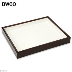 2026年2月】標本箱(標本ケース)のおすすめ人気ランキング - Yahoo