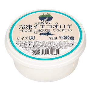 冷凍☆フタホシML 100g 月夜野ファーム 冷凍コオロギ 国産 別途