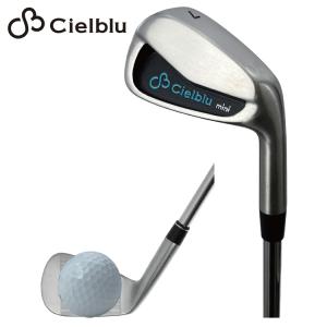 シェルブル mini アイアン ゴルフ 練習器 スイング練習 ミニ ヘッド