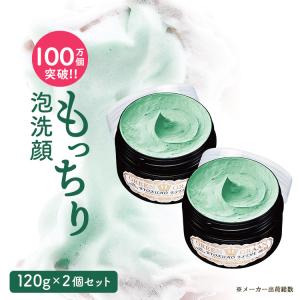 MDNA SKIN 洗顔 ザ フェイスウォッシュ 120mL THE FACE WASH MTG 公式
