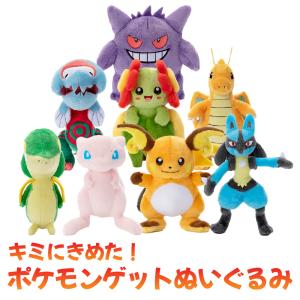 Pokemon（ポケモン） ポケモンセンターオリジナル ぬいぐるみ
