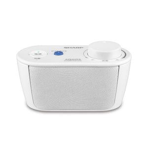 JVCケンウッド（JVC KENWOOD） Victor JVC ビクター SP-A900-W