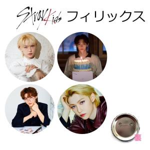 バンチャン StrayKids ストレイキッズ スキズ タンブラー 500ml 韓流
