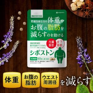 キロロス 1袋 60粒/袋 ダイエットサプリ 機能性表示食品 ぽっこりお腹