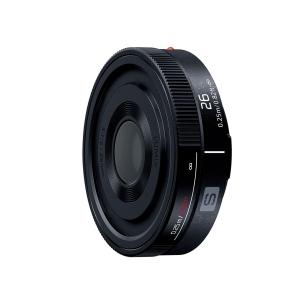 PENTAX 魚眼単焦点レンズ 03 FISH-EYE Qマウント 22087 : 黄色いハチ