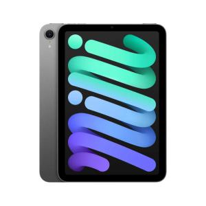 Apple iPad mini 第7世代 Wi-Fi 128GB MXN83JA スターライト【お