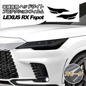 RX プロジェクションウェルカムイルミ ※1 台分（フロント） レクサス