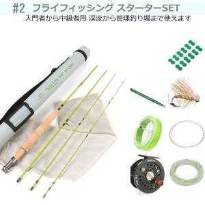 DAIWA ダイワ フライフィッシング 入門 セット スタート #3 F803