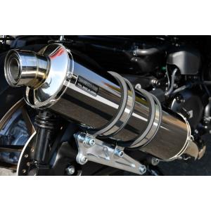 SP TADAO SP忠男マフラー 18~ FORZA フォルツァ 2BK-MF13 POWERBOX