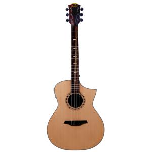 Taylor Taylor 314ce studio special edition テイラー エレアコ