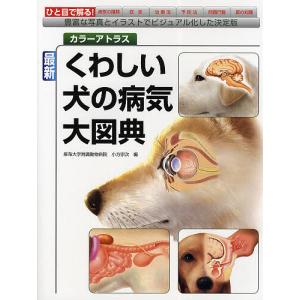 ビジュアルと動画でわかる!犬と猫の腹部超音波の描出レッスン 下巻