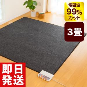 ゼンケン 爆買 ホットカーペット ホットマット 本体のみ 1畳タイプ