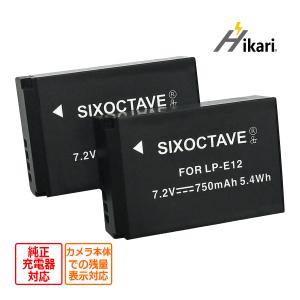 セットDC163 対応USB充電器 と CANON LP-E17 互換バッテリー EOS RP