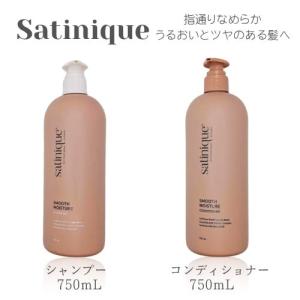 Amway アムウェイ サテニーク エクストラ シャンプー （地肌ケア