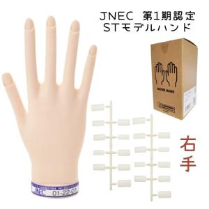 滝川（TAKIGAWA） JNEC認定ハンド STモデルハンド 左手 ネイルチップ
