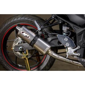 Toce Performance Yamaha YZF-R6 2006-2021 スリップオン ダブルダウン