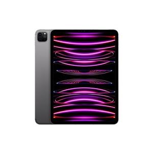 iPad Pro 11インチ 第4世代 Wi-Fi 2TB 2022年秋モデル MNXM3J/A