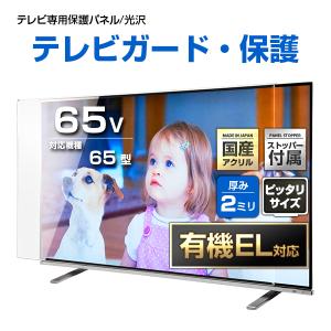 テレビ保護パネル 65型 65インチ クリアパネル テレビガード テレビ